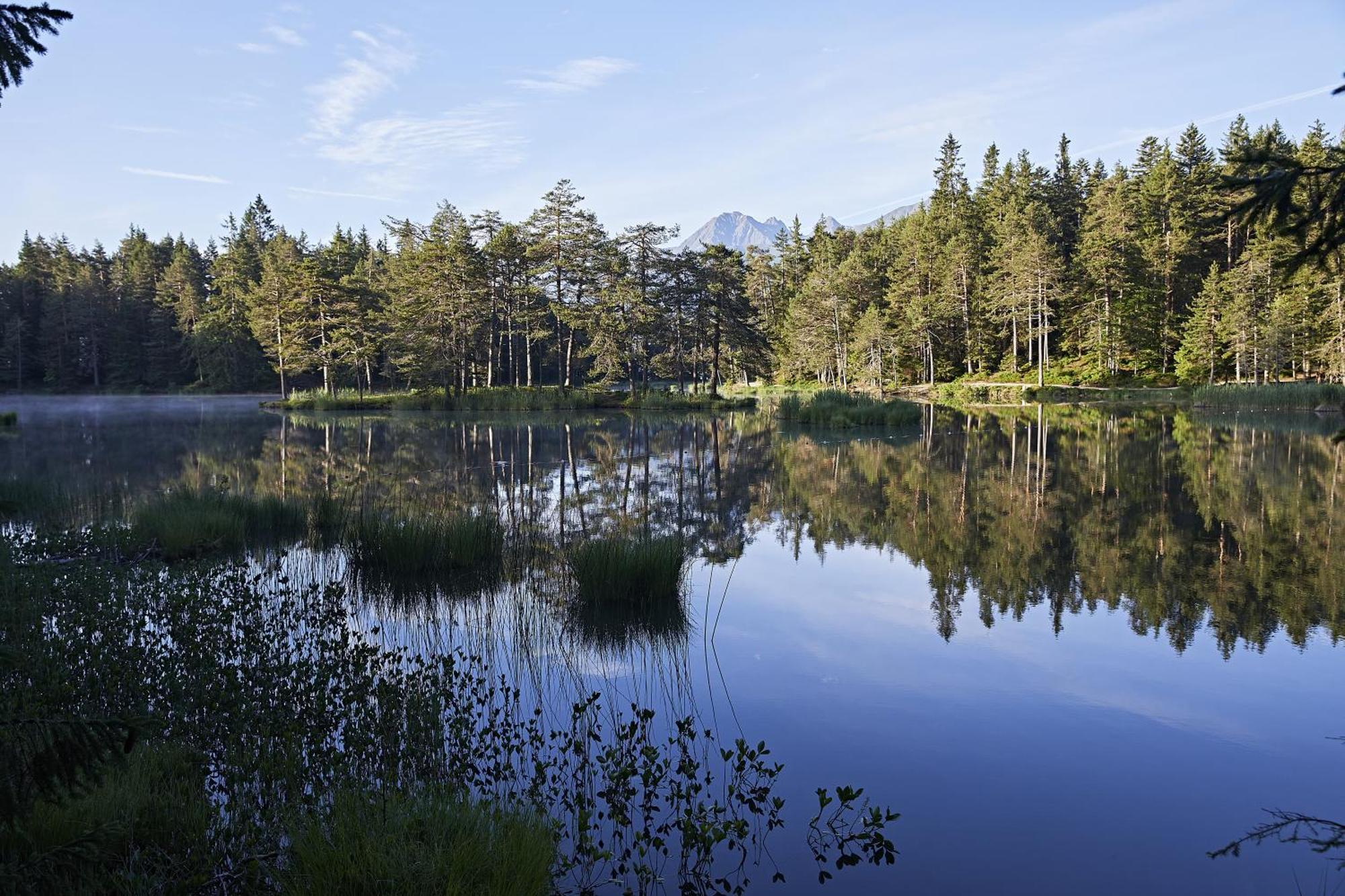 Appartements Landhaus Waidmannsheil Seefeld in Tirol Bagian luar foto